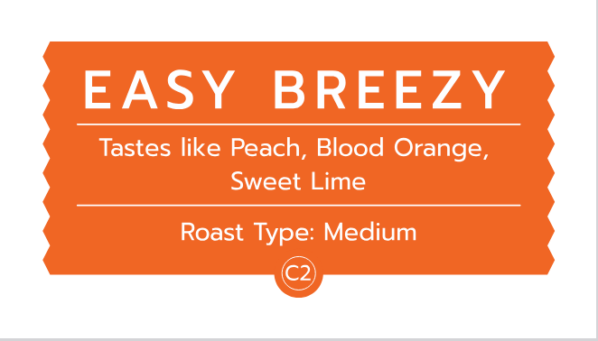 Easy Breezy Drip Coffee Bags | C2 Bright & Citrusy